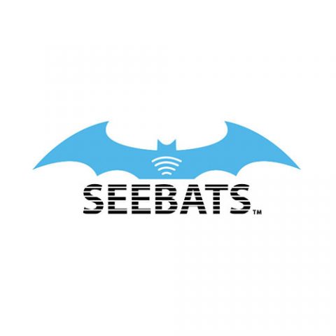 StarBox Holdings | SEEBATS